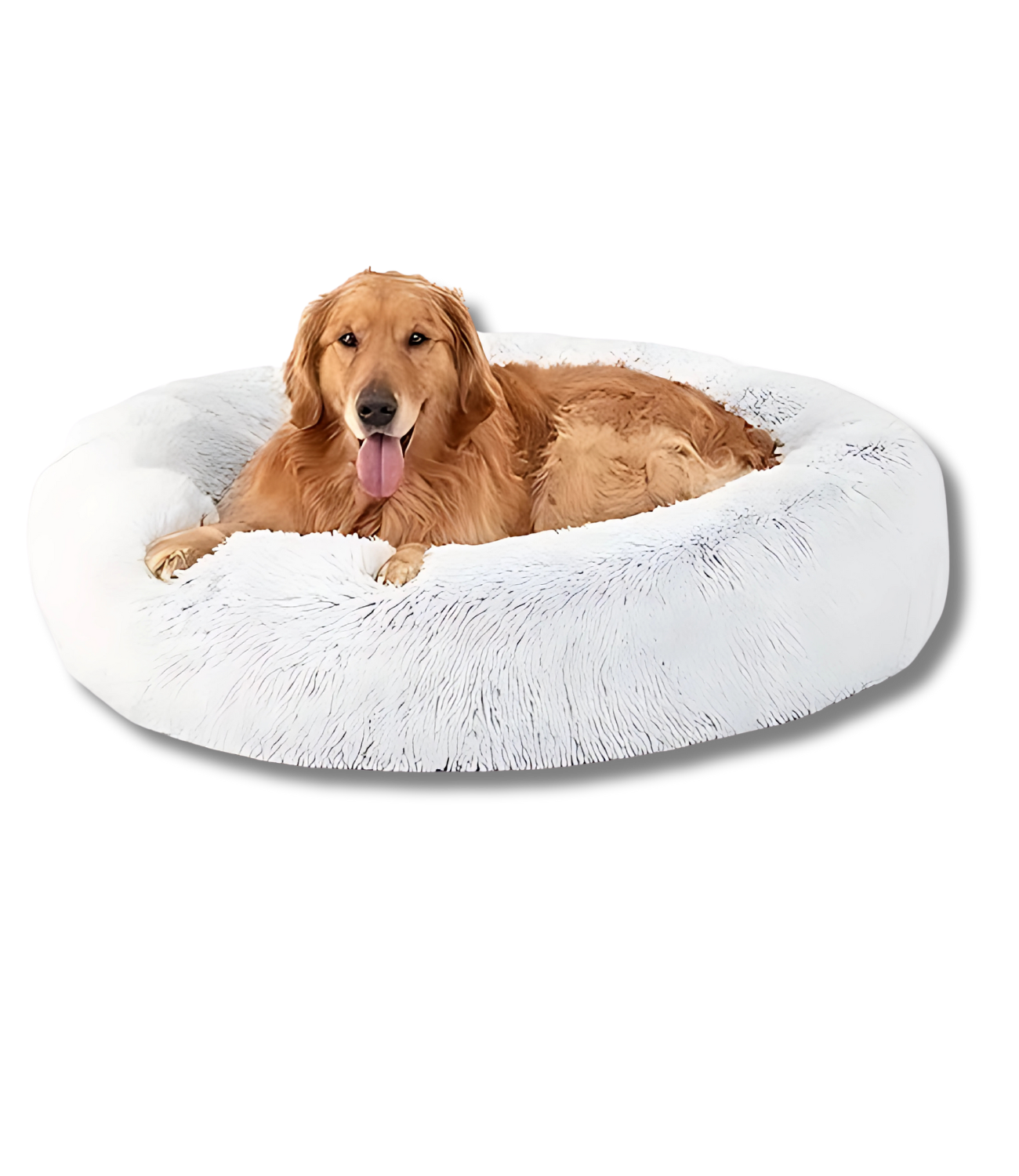 PawHero's Calming Bed