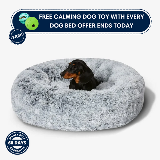 PawHero's Calming Bed