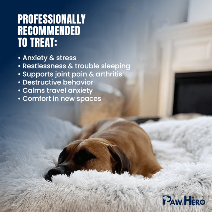 PawHero's Calming Bed