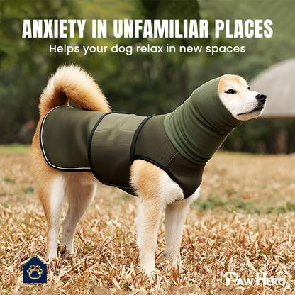 Paw Hero Calming Vest