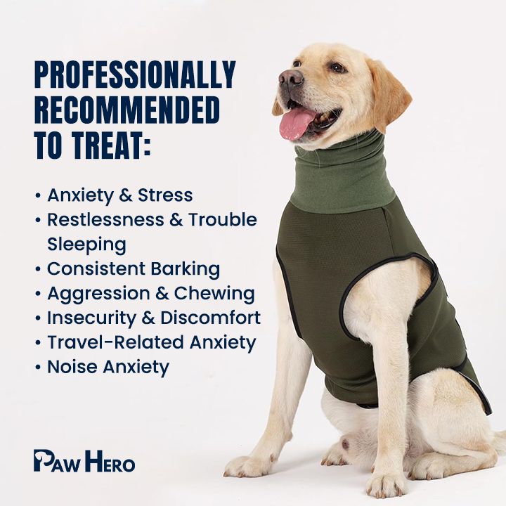 Paw Hero Calming Vest