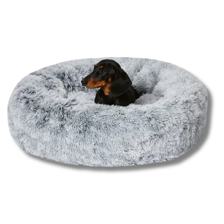 PawHero's Calming Bed