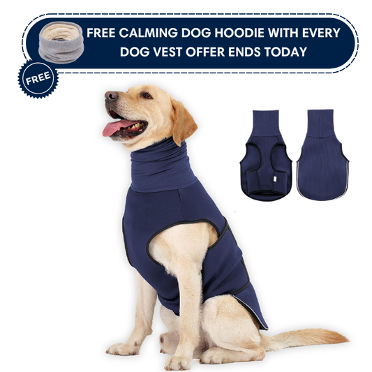Paw Hero Calming Vest